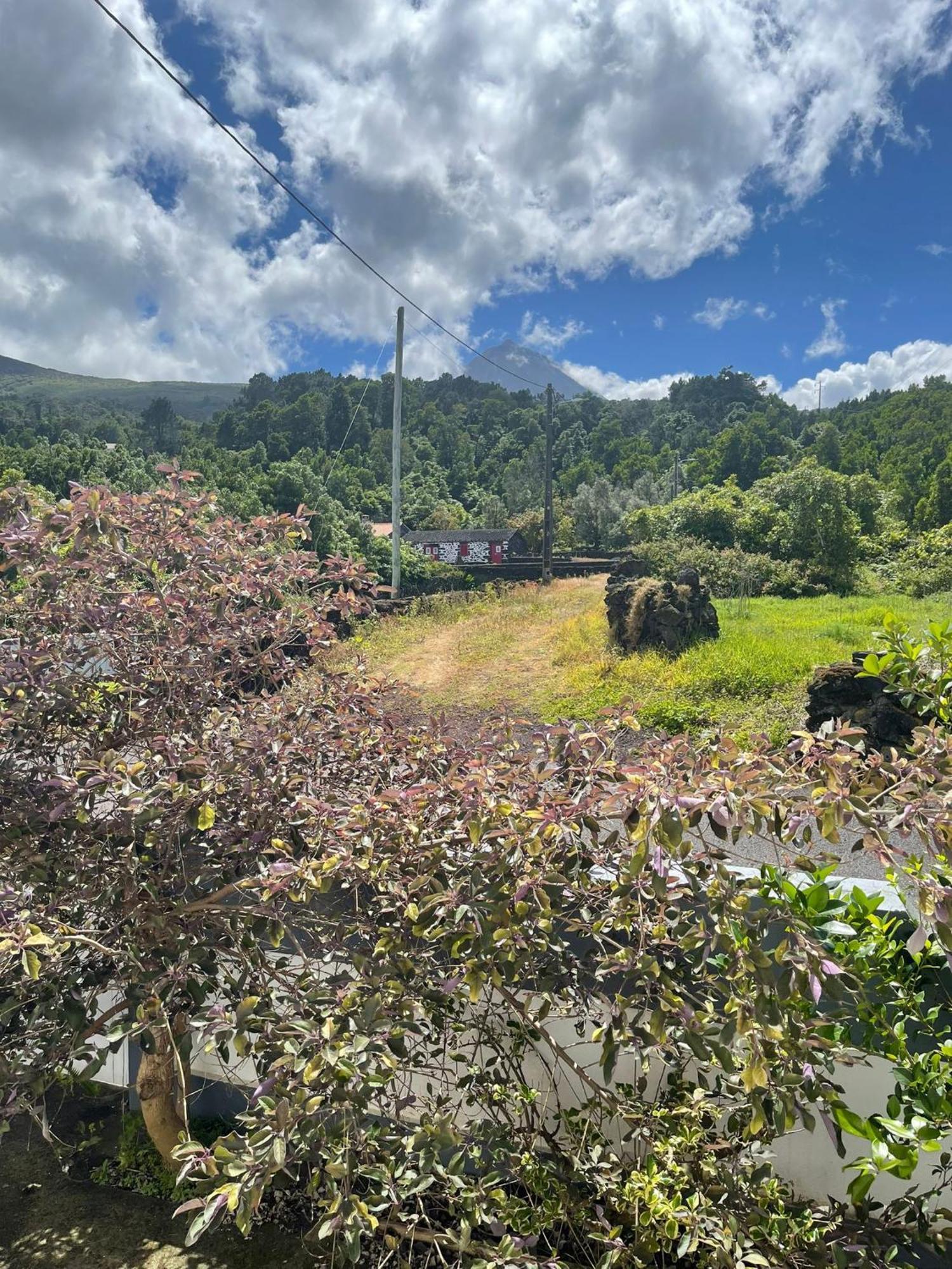 Residencias Requinte São Roque do Pico エクステリア 写真